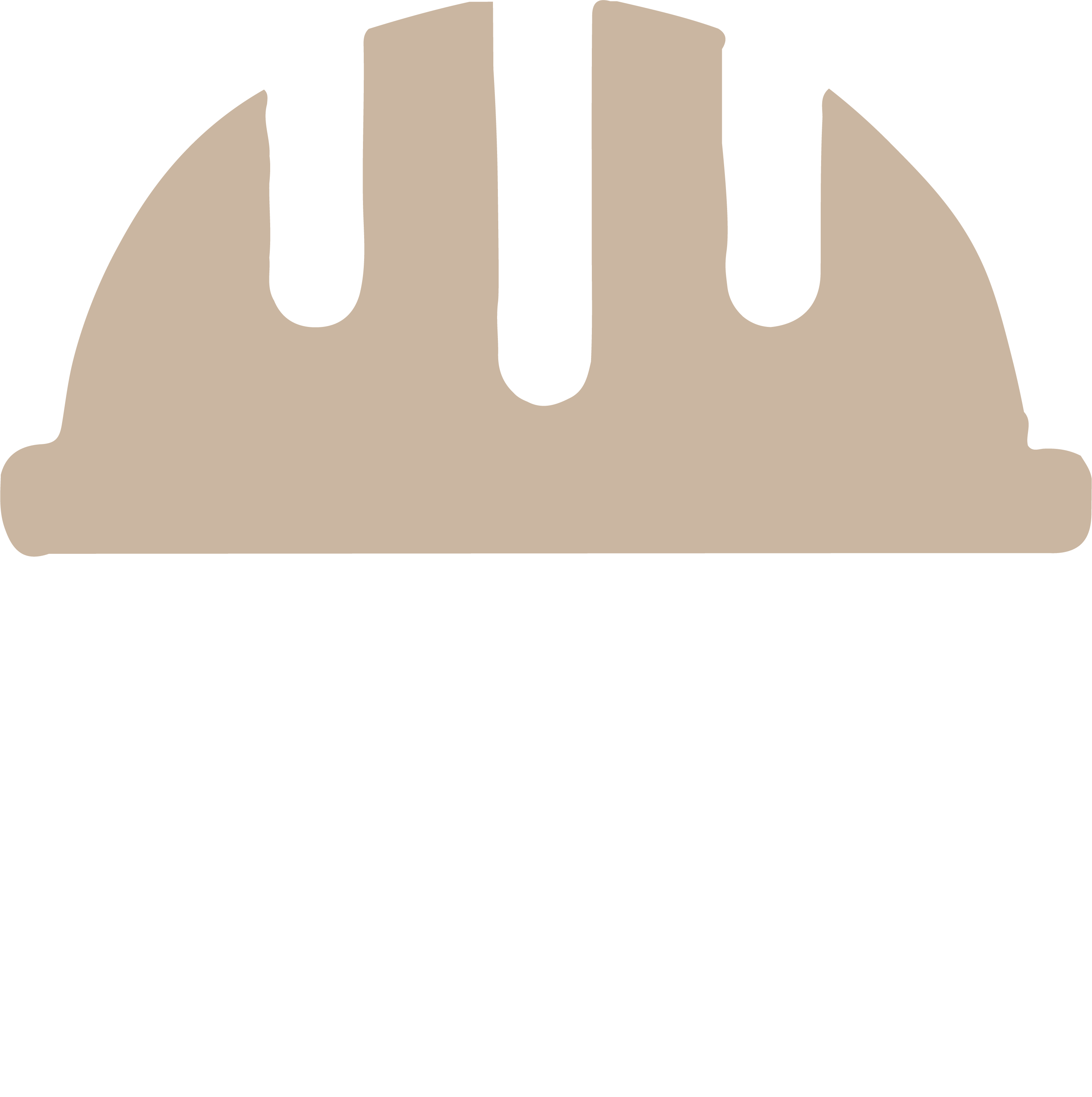 B.C.Brath&Co